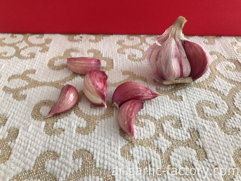 Wholesale New Crop Fresh Garlic price